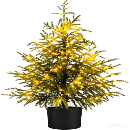 24" Pre-Lit Real Touch Norfolk Pine Christmas Tree
