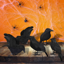 Ensemble de 5 décorations extérieures pour Halloween : corbeaux noirs – Convient pour le jardin et la cour