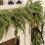 Ghirlanda natalizia artificiale Norfolk Pine, 1,74 m, verde 1