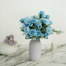 4 Dusty Blue Seidenrosensträucher, 30 cm