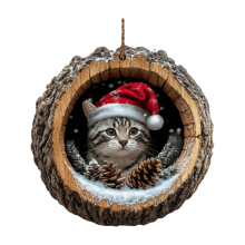 Acryl kerstornament in de vorm van een kat – rond, plat 2D-ontwerp