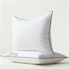 Tynne, flate queen size-puter (20 x 30 tommer), sett med 2, hypoallergeniske, maskinvaskbare, hvite striper, for mage-/ryggsovere