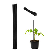 Květinové tyčinky 60 cm v sadách po 50 ks