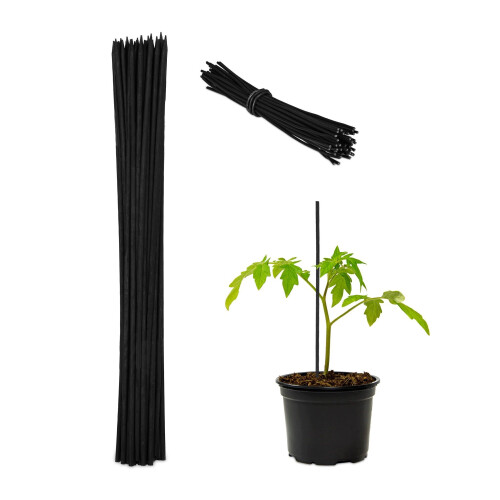 Blumenstäbe 30 cm im 50er Set