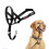 Halti Halti Headcollar - Stop Your Dog Pulling on the Lead. Adjustable, Reflective and 1