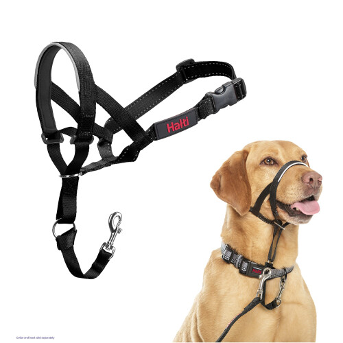 Halti Halti Headcollar - Stop Your Dog Pulling on the Lead. Adjustable, Reflective and