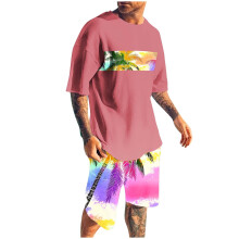 Conjunto de shorts masculino, 2 peças, gola redonda, estampa, esportivo, slim, cintura elástica, blusa de manga curta com gola redonda.