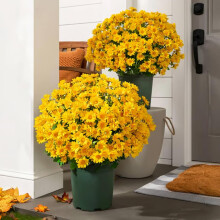Funsdecor artificial sunset mums orange 5-pack