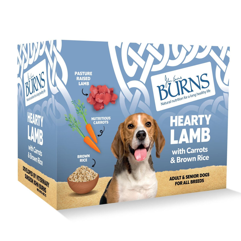 Photos - Bird Food Burns Pet Natural Nutrition Adult & Senior Wet Dog Food Hearty Lamb, Carrots & W 