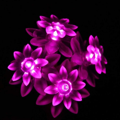 Φωτιστικά Sloar Flower String, LED Lotus Fairy Lights Αδιάβροχα Χριστουγεννιάτικα Φώτα Λουλουδιών