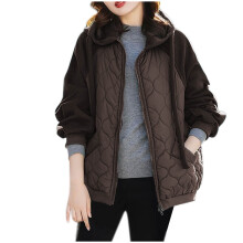 Leichte Damenjacke, langärmlig, einfarbig, mit Reißverschluss vorne und Tasche, lässige Oberbekleidung für Frühling und Herbst