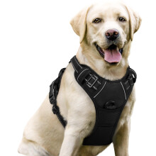 rabbitgoo Dog Harness Large Dog No Pull Pet Harness with 2 Leash