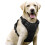 rabbitgoo Dog Harness Large Dog No Pull Pet Harness with 2 Leash 1