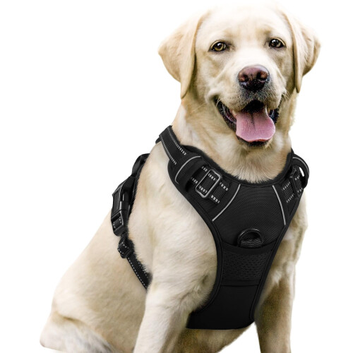 rabbitgoo Dog Harness Large Dog No Pull Pet Harness with 2 Leash