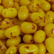 Jelly Belly Beans, Grageas con sabor a pl?tano, Bolsa de 1 Kg, Caramelos masticables en forma de jud?as