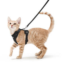 rabbitgoo Cat Harness and Lead Set, Escape Proof Kitten Harness with