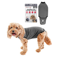 BellyGuard Dog Surgery Recovery Suit for Female & Male, Protective
