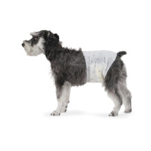 Amazon Basics Male Dog Wrap, Disposable Nappies - M, Pack of 50, White
