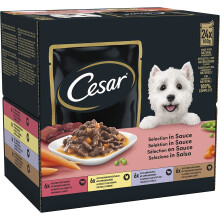 CESAR Deliciously Fresh Dog Pouches Favourites in Sauce 48x100g
