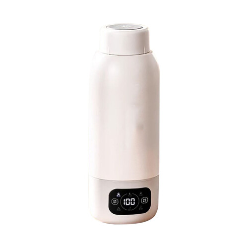 Bouilloire électrique portable en acier inoxydable 316
