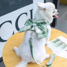 Hundegeschirr- und Leinen-Set – Karierte Weste mit Schleife, XS