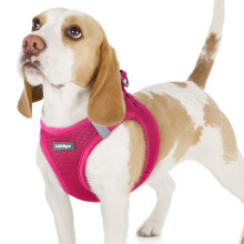 rabbitgoo Dog Harness Small Dog, Step-in Soft Mesh Puppy Harness with