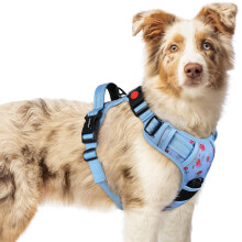rabbitgoo Dog Harness Large Dog No Pull Pet Harness with 2 Leash