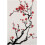 Tableau sur toile Fleurs de cerisier rouges 12x18 pouces 1