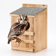 Uilenhuisje voor ransuilen met vogelstandaard - Groot, hoogwaardig en weerbestendig ontwerp van cederhout - Voorgefabriceerde box voor buiten met