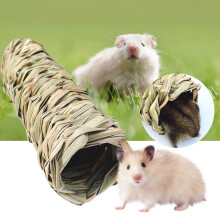 Hamstergresstunnellek, marsvin naturlige gresshåndtunneler og rørleker for rotter, syrisk hamster, ilder, marsvin, chinchilla-pinnsvin