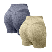 2-delige damessportset: hoge taille, ademende, sneldrogende yogabroek en fitnessshorts, comfortabel voor workouts.