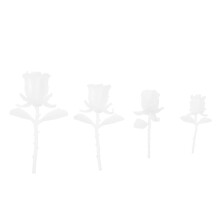 8Ensembles Fleurs Résine Blanches Artisanat Remplissage Epoxy DIY