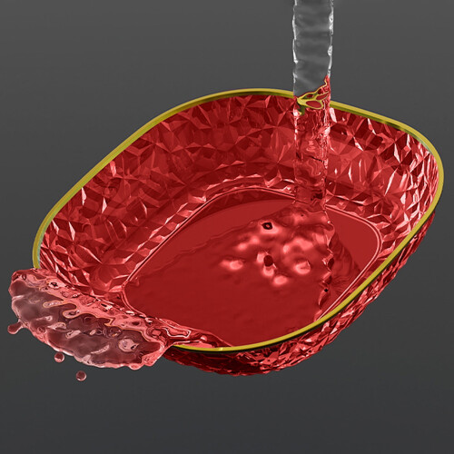 Acrylic Dinner Plates and Fruit Bowls Red 2