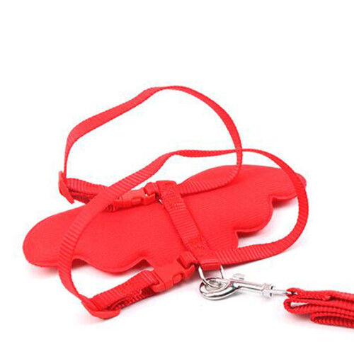 Rood Comfortabel Ademend Kattenriem Buitenwandeling