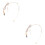 2 Count Vocal Microphone Headworn Headphone Wired Directional Child 1