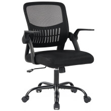 EDX Desk Chair with Ergonomic Lumbar Support, Flip-Up Armrests & Removable Footrest - 250lbs Capacity, Suitable for Home, Office, Bedroom, Black