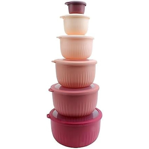 12-teiliges Ombré-Rührschüssel-Set mit Deckeln