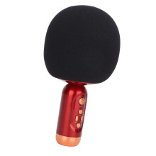 Handmikrofon Lautsprecher 2000mAh Bluetooth 5.0 Tragbar für Kinder & Erwachsene