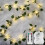 Φώτα Vine Fairy που λειτουργούν με μπαταρία 33ft100LED ζεστό λευκό 1