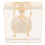 Turtle Bone Specimen for Biology Learning and Collector Display 1