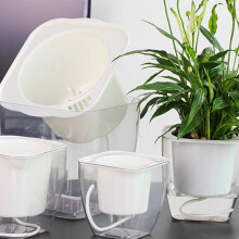 Maceta transparente con sistema de autorriego para suculentas, color blanco.