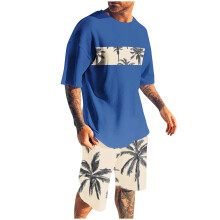Conjunto de shorts masculino, 2 peças, gola redonda, estampa, esportivo, slim, cintura elástica, blusa de manga curta com gola redonda.