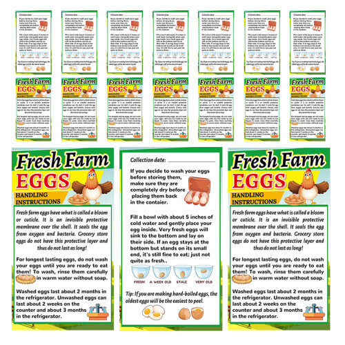500Pièces Cartes De Pour Œufs Instructions De Manipulation Multi