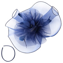 2Pièces Chapeaux Fascinators Voile Plume Tête Femme Pour Occasions