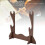 2-Layer Laminated Board Desktop Flute Stand, Holds Instruments & Accessories 8