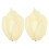 8Pièces Protections Plantes Non- Beige Usage Extérieur 1