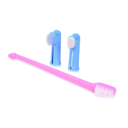 À Dents Doigt Double Tête Pour Dents Colorées