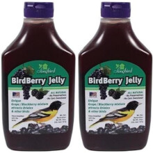 20 Ounce BirdBerry Jelly Squeeze Bottle Bird Feeder Jelly, Grape and BlackBerry Jelly Made Just for Birds [Pack of 2]