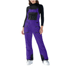 Macacão de esqui feminino impermeável, à prova de vento e com isolamento térmico, cintura elástica. Calça térmica de inverno ideal para