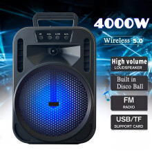 1100W Portable Bluetooth Speaker with LED Lights, Wired Microphone, 1200mAh Battery, Black - Ideal for Parties, Holidays & Gifts